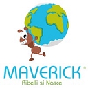 Maverick Group  logo
