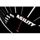 Maxagility Corporation logo