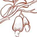 Maxwell Food Products Pty Ltd logo