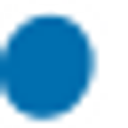 THE MAYER FOUNDATION logo