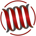 Mayer Networks logo