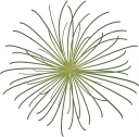 Mayfield Medical Connection logo