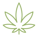 Mayflower Medicinals, Inc. logo