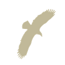 Maynard Family Foundation logo