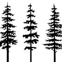 The Grove B&B Mayne Island BC logo