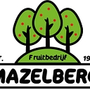 mazelberg.be icon