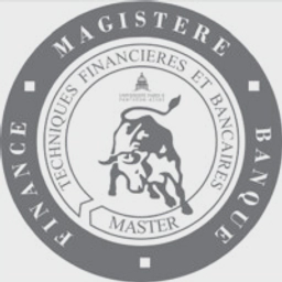 Logo Magistère Banque Finance
