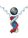 Maxim Biomedical, Inc. logo