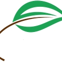 Mcadam Landscaping Inc logo
