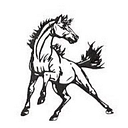 McDonald County R-I School District logo