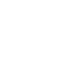 Temple View Capital, LLC logo