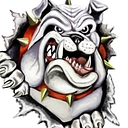 Morgan County R-I School District logo