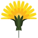 Favicon of Montessori Children's School (Jacksonville, NC)