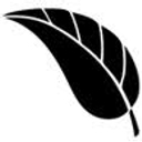 Mdc Wholesale Cigars logo