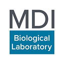 Mount Desert Island Biological logo