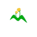 The Meadow Community Primary School Academy Trust logo