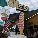 Meadowlark Dairy logo