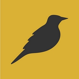 MP