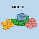 THE MED13L FOUNDATION INC logo