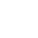 Medicaldirector logo
