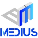Medius International Inc. (Medius Consulting Group   Mcg) logo