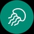 meduzot.co.il