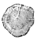 Meeder Investment Management logo