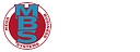 Mega Business Systems, Inc. logo