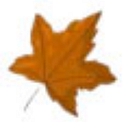Melio Homes logo