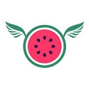 Melon Technologies, Llc logo