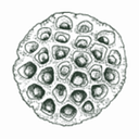 Memoru logo