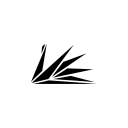 Meo Continuity logo