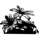 Merchants Of The Sun logo
