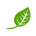Meritus Capital logo
