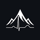 Meroka & Practice Partners logo