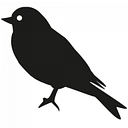 Merula Limited logo