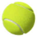 Mesa County Tennis logo
