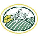 Mesa Vineyard Management logo