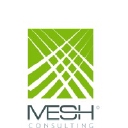Mesh Consulting, Llc logo