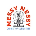 messynessychic.com icon
