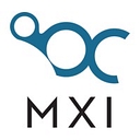 Metacentrix, Llc logo