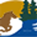 Town of Metamora logo