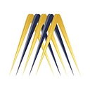 Metasense logo