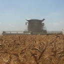 Mettler Fertilizer Inc logo