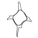 Mgpalaeo logo