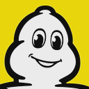 PT Michelin Indonesia logo