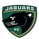Michigan Jaguars Football Club logo