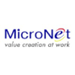 MicroNet IT Solutions, Inc. logo