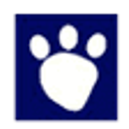 middendorfanimalhospital.com