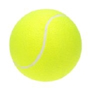 Midlothian Tennis Club logo
